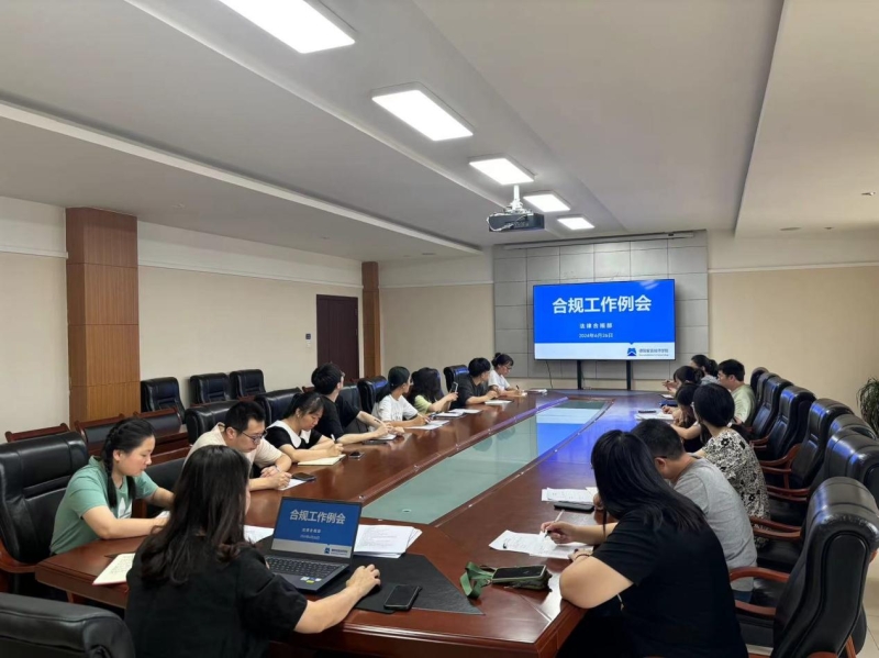 加强合规建设，推进“扁鸿行动”深入实施